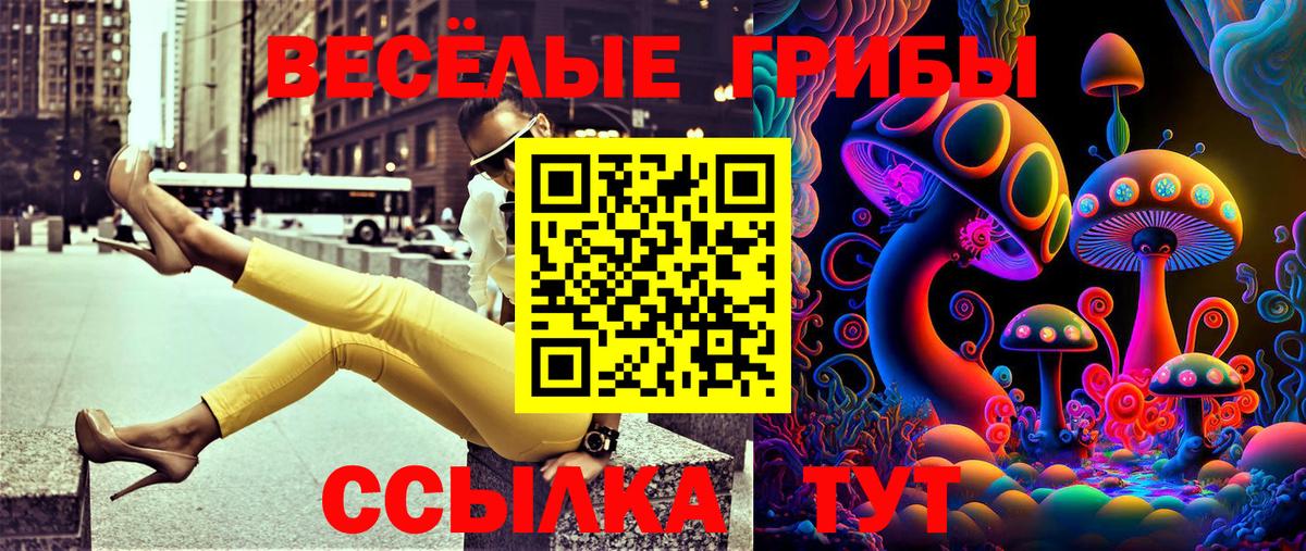 Псилоцибиновые грибы GOLDEN TEACHER Сегежа